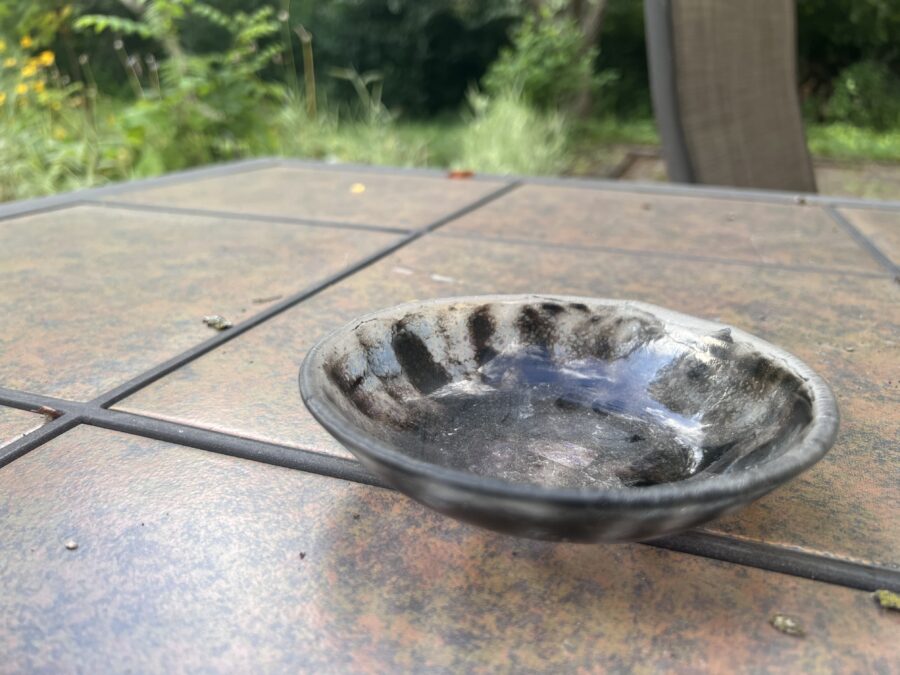 343_Glass Bowl_Smokey Finger Bowl v2